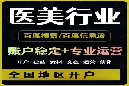 成功SEM服务案例分析报告
